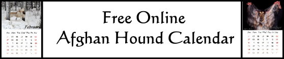 Free Online Afghan Hound Calendar