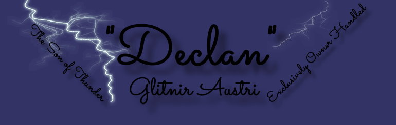 Declan (Glinir Austri)-Exclusively Owner Handled